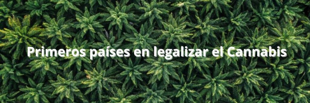 Cuáles-fueron-los-primeros-países-en-legalizar-el-cannabis