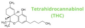 El Tetrahidrocannabinol (THC):