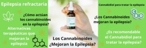 Los Cannabinoides ¿Mejoran la Epilepsia?