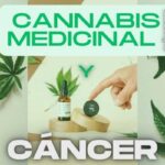 Estudios, demuestran que tanto los Cannabinoides como los endoCannabinoides ofrecen una importante alternativa para el tratamiento del Cáncer. Un aspecto de gran interés es el hecho de que estos compuestos son selectivos para ejercer sus acciones citotóxicas sobre células cancerosas, dejando libres las células normales.