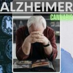 Se ha descrito que mejorar el tono de los Cannabinoides endógenos puede inducir efectos beneficiosos sobre la evolución de la enfermedad de Alzheimer, Además que el sistema endocannabinoide regula numerosos aspectos de la fisiología circadiana relevantes para la neurobiología del envejecimiento.