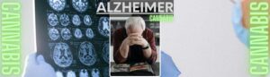 Se ha descrito que mejorar el tono de los Cannabinoides endógenos puede inducir efectos beneficiosos sobre la evolución de la enfermedad de Alzheimer, Además que el sistema endocannabinoide regula numerosos aspectos de la fisiología circadiana relevantes para la neurobiología del envejecimiento.