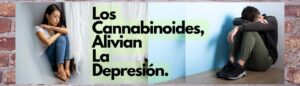 Los Cannabinoides alivian los Síntomas de la Depresión